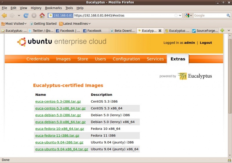 File:Eucalyptus-admin08.jpeg