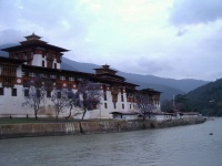 Bhutan-8.jpg